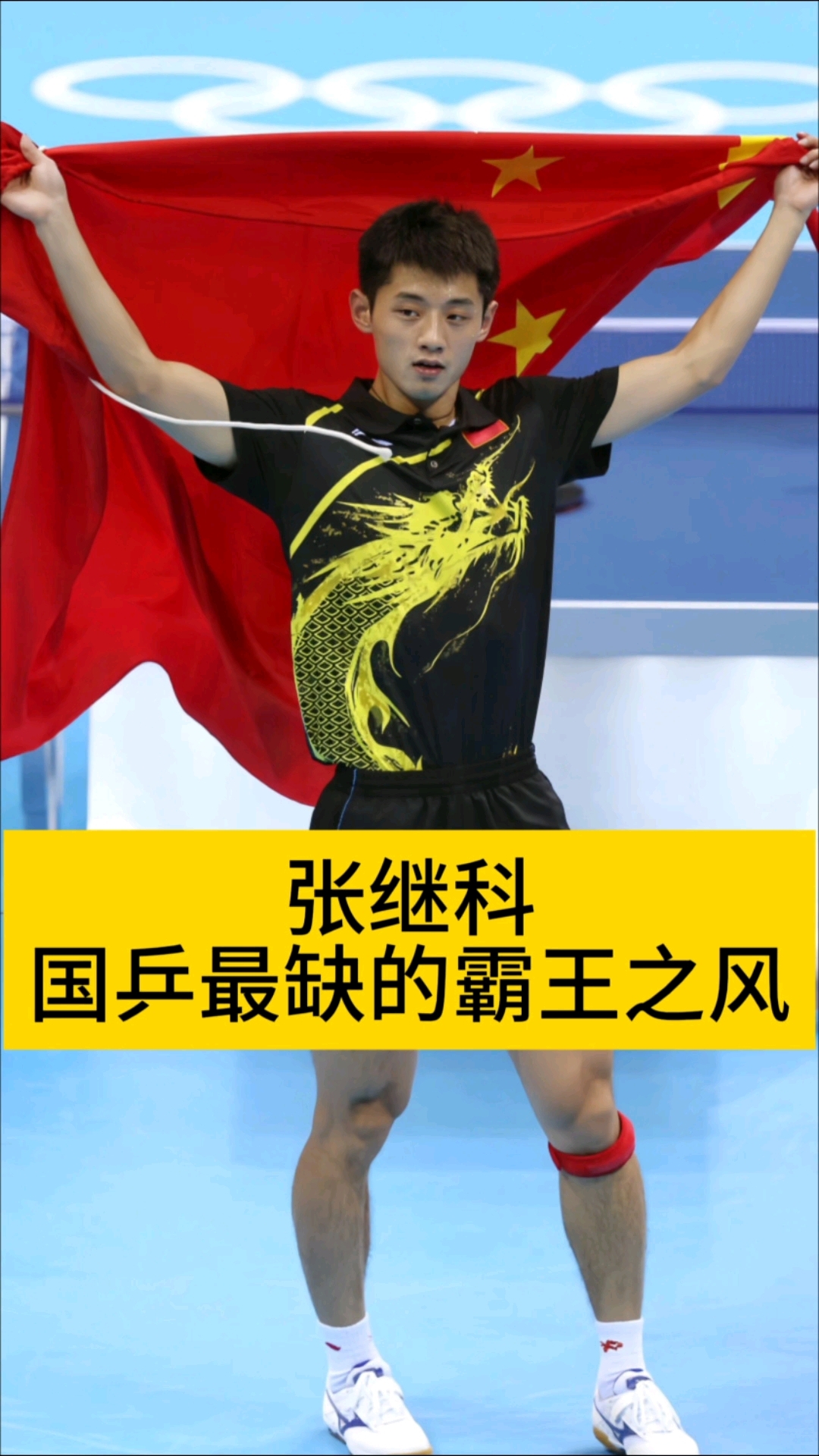 关于瑞典乒乓球队血洗德国乒乓球队，张继科制霸全场的信息