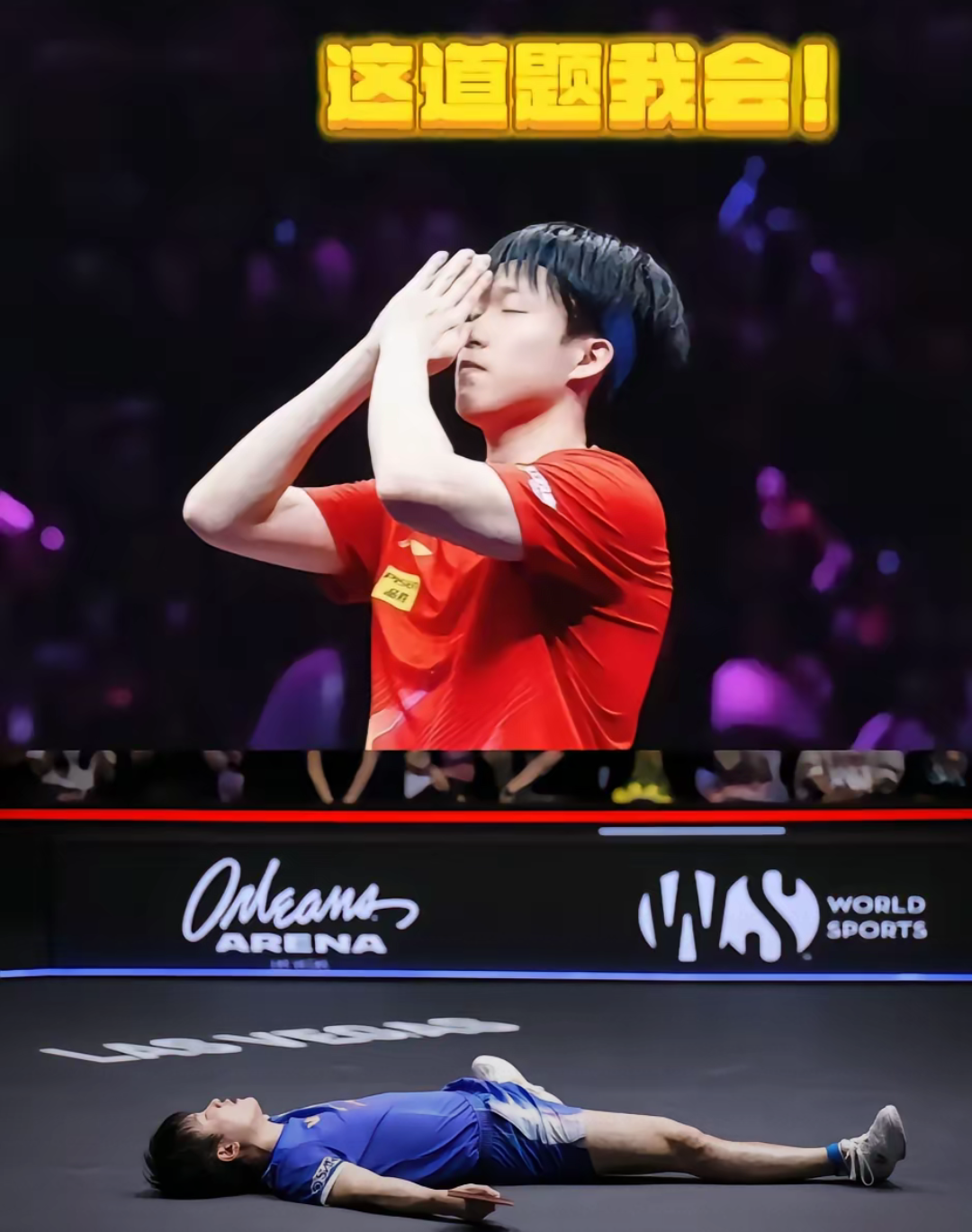 包含中国乒乓球队横扫比利时乒乓球队，奥恰洛夫惊艳世界的词条
